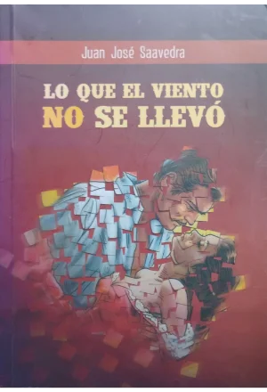 LO QUE EL VIENTO NO SE LLEVO