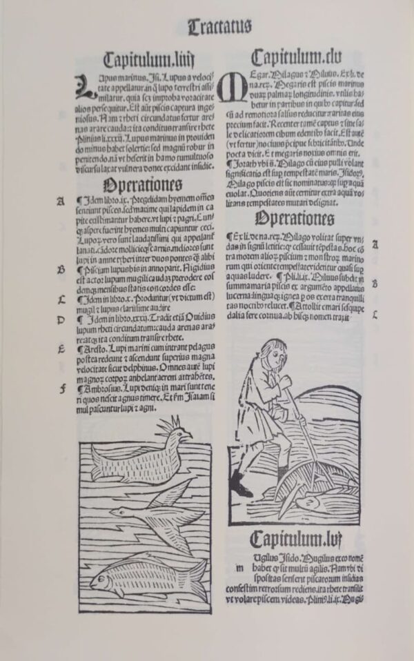 HORTUS SANITATIS, DE AVIBUS, DE PISCIBUS