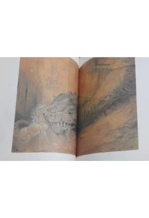 TRAS EL DIENTE DEL DRAGON