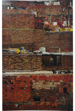 SEÑOR LADRILLO LOS MATERIALES DEL HOMBRE