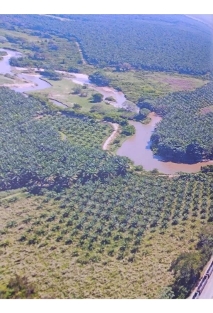 MAGDALENA TERRITORIO DE PAZ