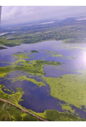 MAGDALENA TERRITORIO DE PAZ