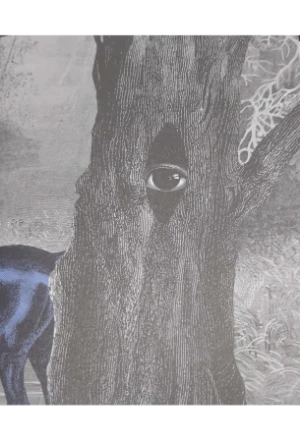 LA MUJER DE LA GUARDA