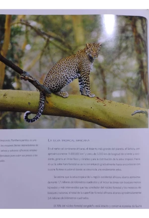 LA AMAZONIA DE COLOMBIA