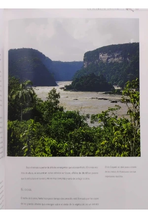 LA AMAZONIA DE COLOMBIA