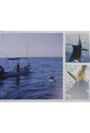 GUATEMALA TEJIDA EN EL CIELO WOVEN IN HEAVEN