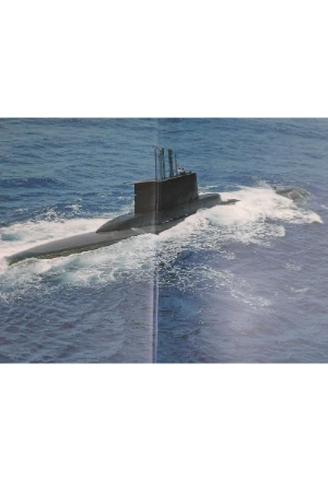 FUERZA SUBMARINA COLOMBIA 40 AÑOS