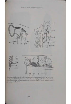 LA EXPEDICION HELVETICA VIAJE DE EXPLORACION CIENTIFICA POR COLOMBIA EN 1910 DE LOS PROFESORES OTTO FUHRMANN Y EUGENE MAYOR