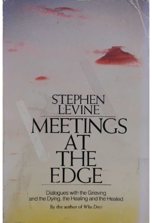 MEETINGS AT THE EDGE