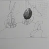 CARTONES DE GARZON