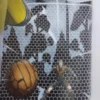 ESTE BALON TIENE UNA HISTORIA LA FISICA Y LA QUIMICA DEL PENALTI