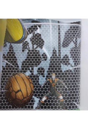 ESTE BALON TIENE UNA HISTORIA LA FISICA Y LA QUIMICA DEL PENALTI