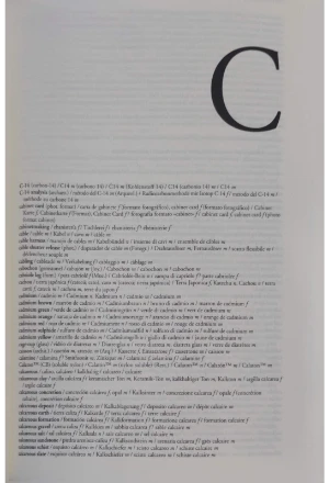 DICCIONARIO TECNICO AKAL DE CONSERVACION Y RESTAURACION DE BIENES CULTURALES ESPAÑOL-ALEMAN-INGLES-ITALIANO-FRANCES