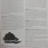 SABORES5.jfif SABORES DEL PASADO RECETAS Y HECHOS DIVERSOS