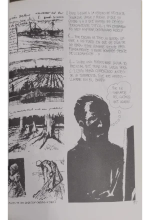 VAN4.jfif VAN GOGH PARA ESQUIZOIDES