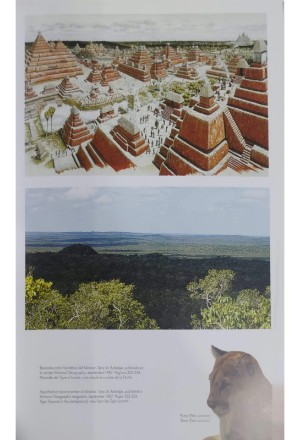 CIUDADES SAGRADAS MAYAS PETEN GUATEMALA